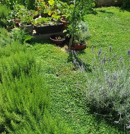 Apartment Navi Kaštela