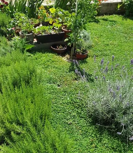 Apartman Navi Kaštela