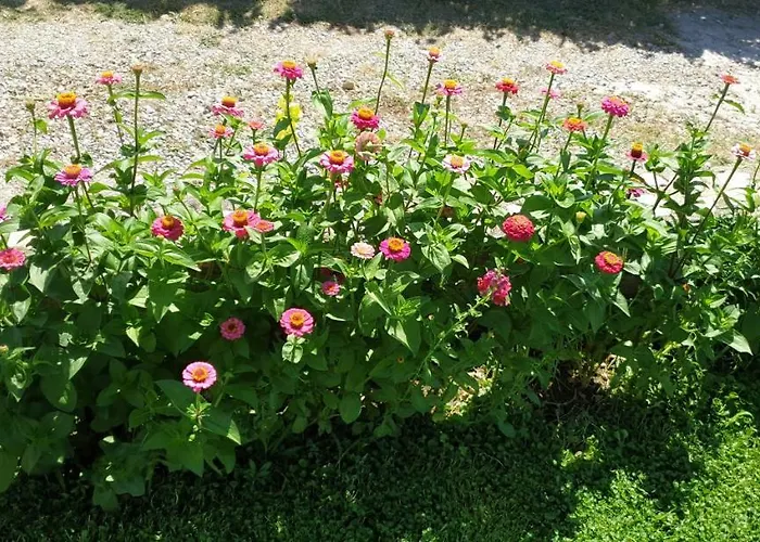 Navi Apartman Kaštela